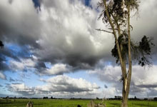 买世界杯app -许昕亲授直板反手拧拉！重心下沉趴台面，发力稳准不失误