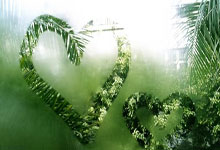 买世界杯app -许昕亲授直板反手拧拉！重心下沉趴台面，发力稳准不失误