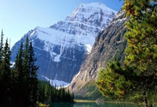 买世界杯app -许昕亲授直板反手拧拉！重心下沉趴台面，发力稳准不失误