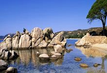 世界杯买球app -紫光股份有限公司